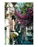Flowered Covered Street