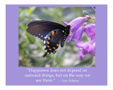 221W - Happiness