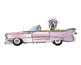 Cadillac Cherry Dog