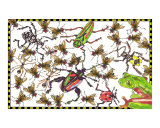 Frog and Flies