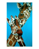 Giraffe pair