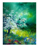 SPRING