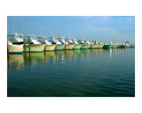 Fishing boats