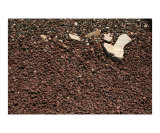 Rock Boot