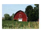 Farm Days