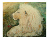 A White Lion