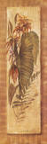 Tropical Perennial II