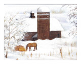 After the Storm