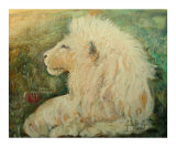 A White Lion