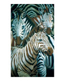 Zebra's mischief