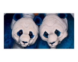 Inquisitive pandas