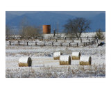 Snow on the Hay