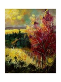 Fall colors 2 45