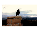Raven King