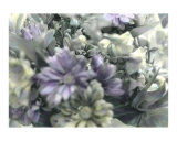 Flowers 9