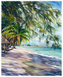 Shady Beach