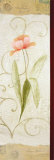 Rounded Tulip