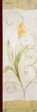 Pointed Tulip