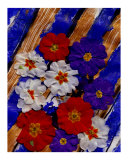Above-It`s Raining Flowers