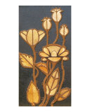 Poppies