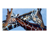 X Giraffes