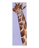 Skeptical giraffe