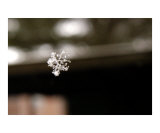 Snowflake Falling