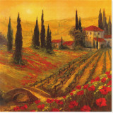 Poppies Of Toscano I