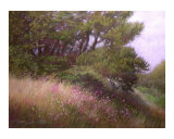Flowers in the Glen