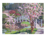 Breath of Spring