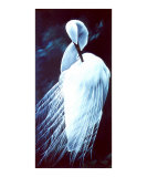 Preening
