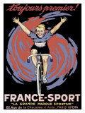 Bicycle Premier Tour