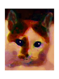 Tinsy Cat