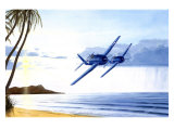 WWII  Grumman F6F Hellcat Hawaii