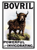 Bovril Beef Extract