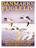 Denmark Bird Society