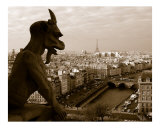 Notre Dame Gargoyle