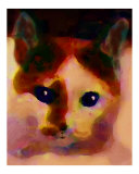 Tinsy Cat