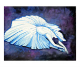 Blue Ballerina