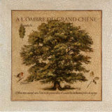A l'Ombre du Grand Chene