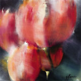 Springflower I