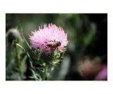 How sweet are thy words unto my taste!  yea  sweeter than honey to my mouth! Psalm 119:103