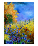 Blue wild flowers with an orange tree