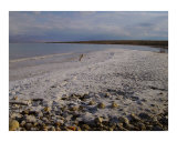 A beach of salt - the Dead Sea  Ein Gedi Spa  Israel