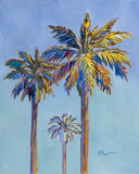 Santa Rita Palms II