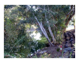 Near the location of Jesus's baptism on the River Jordan in Israel
