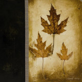 Maple Leaves III