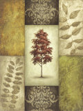 Red Magnolia Tree