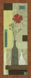 Construct IV