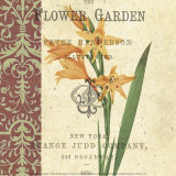 Gladiolus I